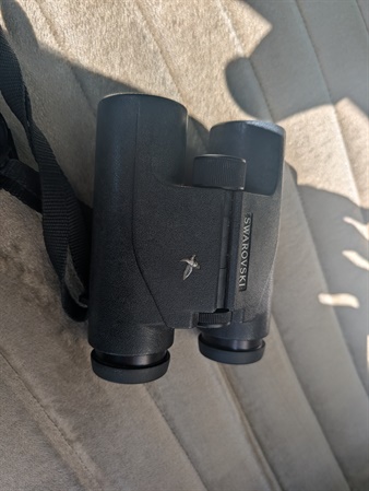 classifiedImage