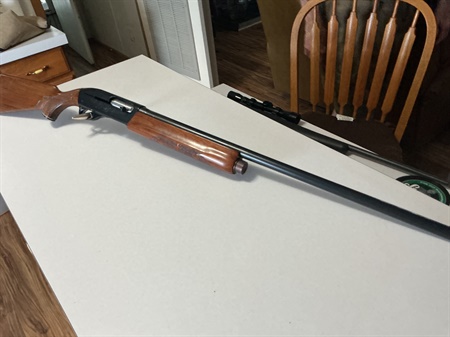 classifiedImage