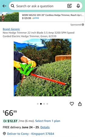 classifiedImage