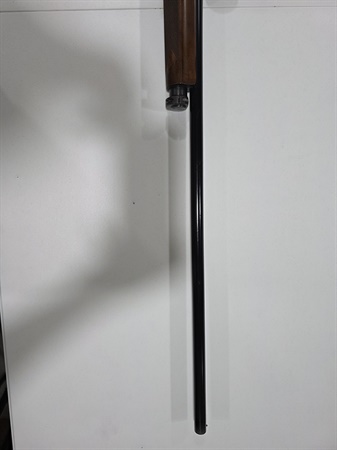 classifiedImage