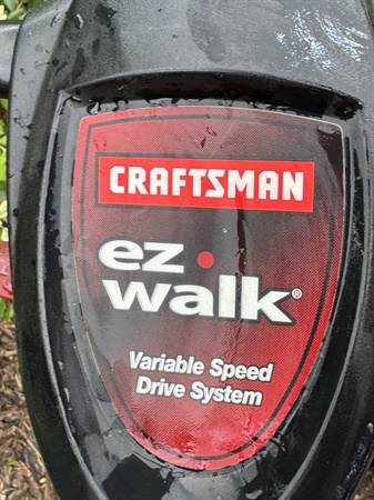 classifiedImage