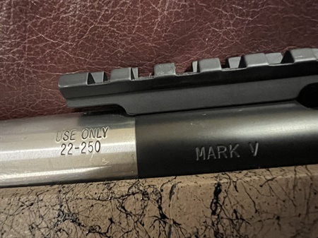 classifiedImage