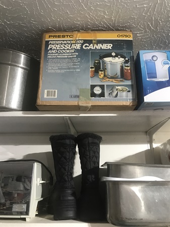 classifiedImage