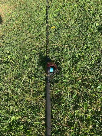 classifiedImage