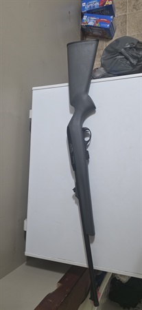classifiedImage