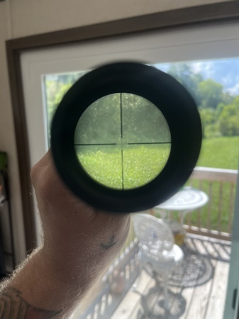 classifiedImage