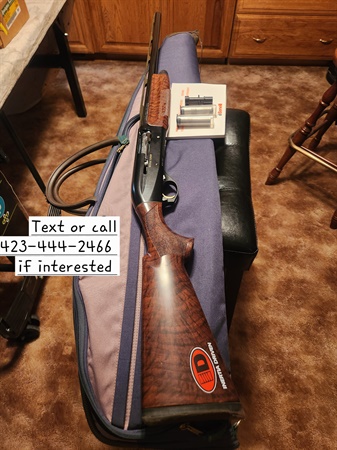classifiedImage