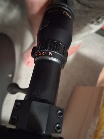 classifiedImage